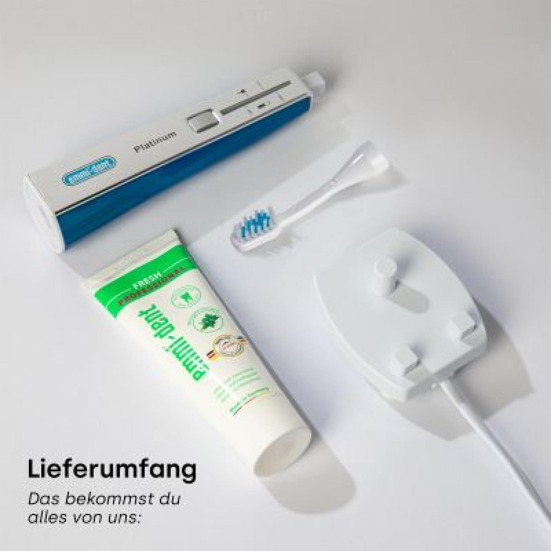 13652 - Ultrasonic toothbrush Platinum Care