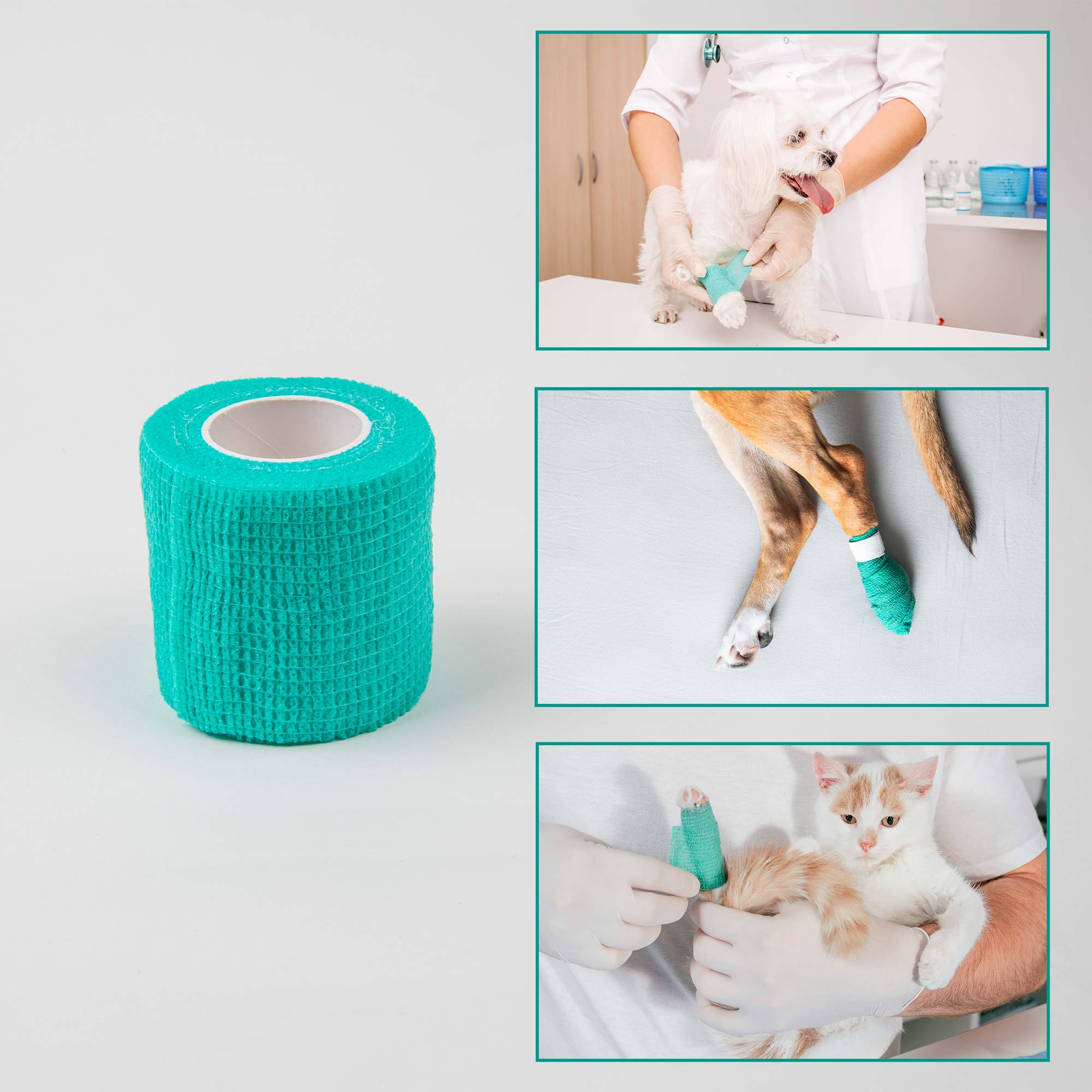 Self-adhesive bandage for dogs