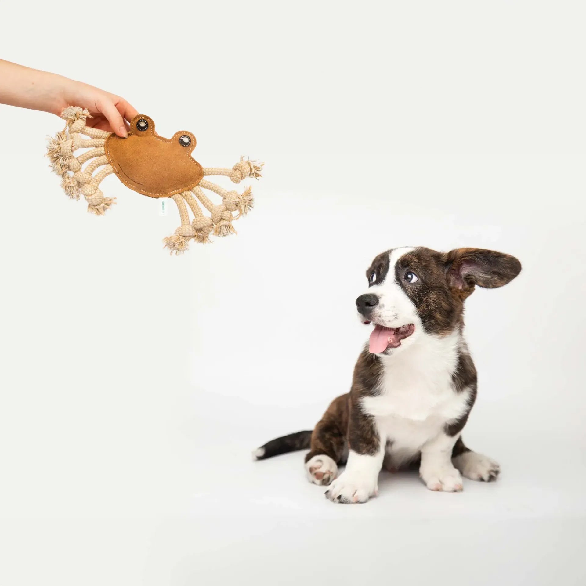 tug toy crab