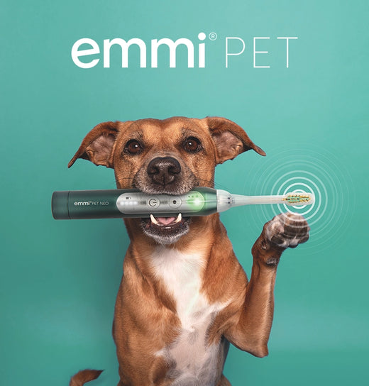 Animal Care