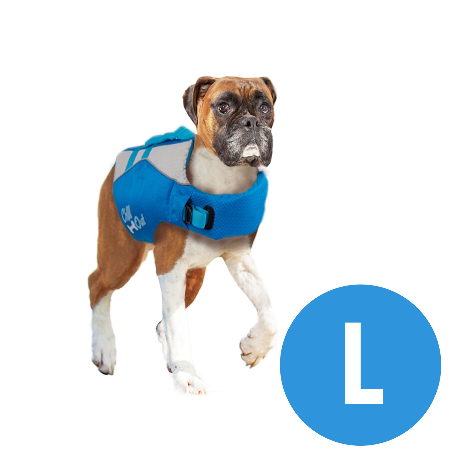 life jacket for dogs