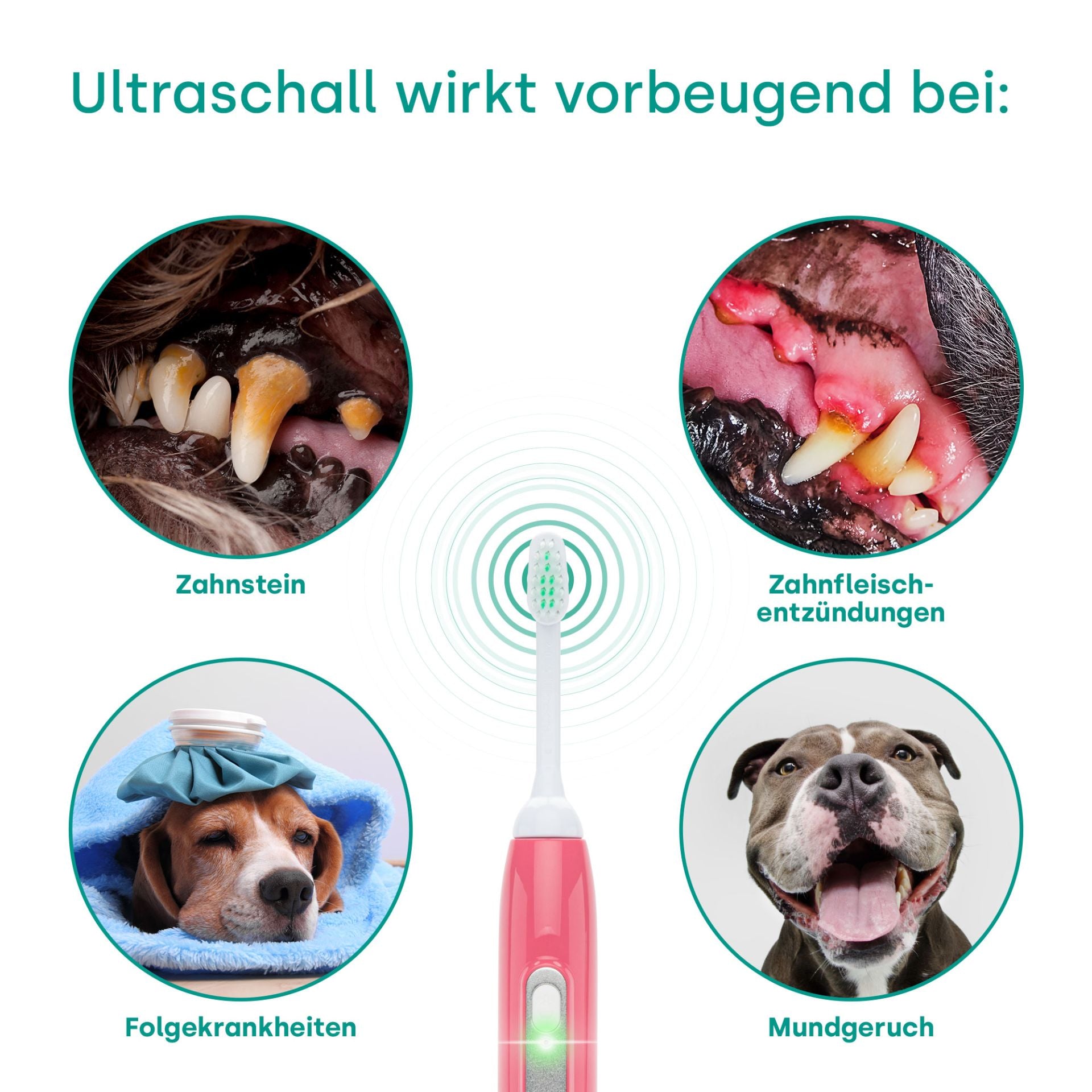 18262 - Emmi-pet Basic Set 2.0 EU Limited Pink